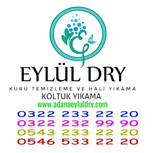 Dünya Halı Yıkama