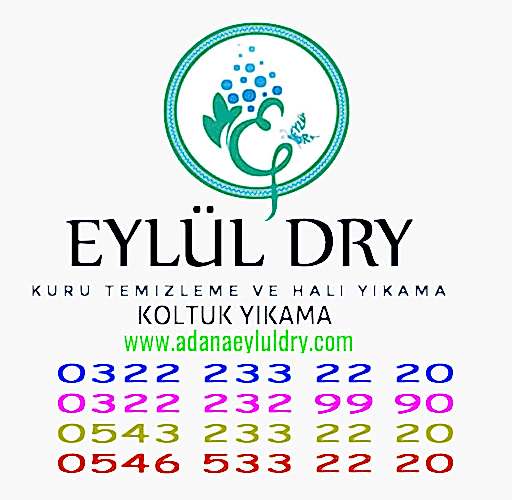 Elbise Kuru Temizleme