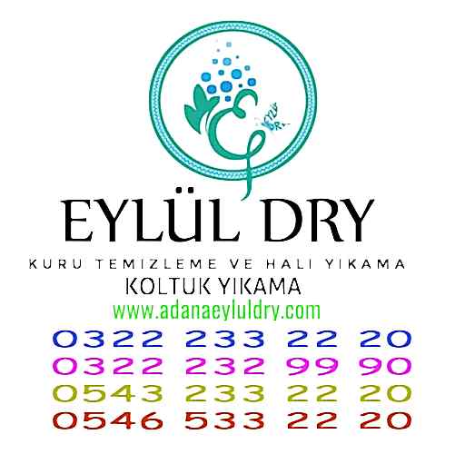 Ev Temizleme Sirketleri
