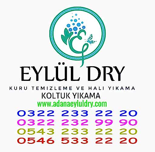 Evde Kuru Temizleme Nasıl Yapılır