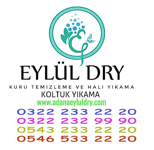 Evden Kuru Temizleme