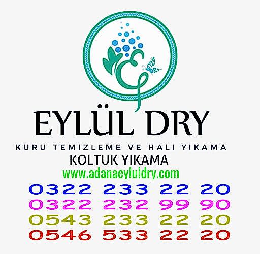Kuru Temizleme Ilacı