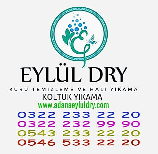 Kuru Temizleme Ütü