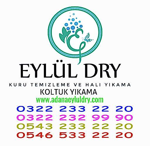 Kuru Temizlemeci