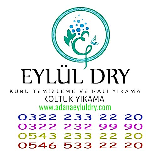 Ütü Lekesi Nasıl Çıkarılır