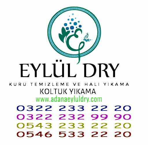 Ütü Lekesi